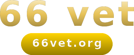 66 vet logo